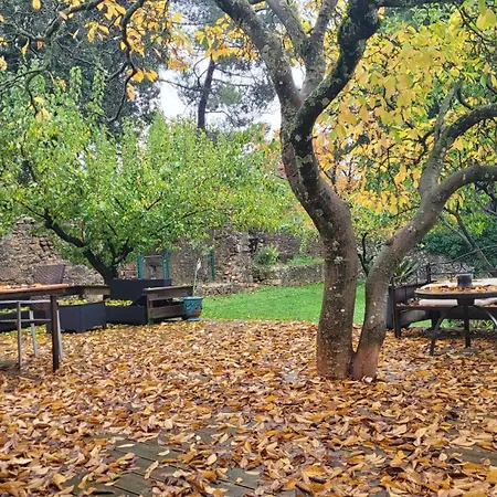 Aux Cigales Du Mazet *