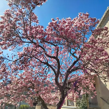 Aux Cigales Du Mazet *